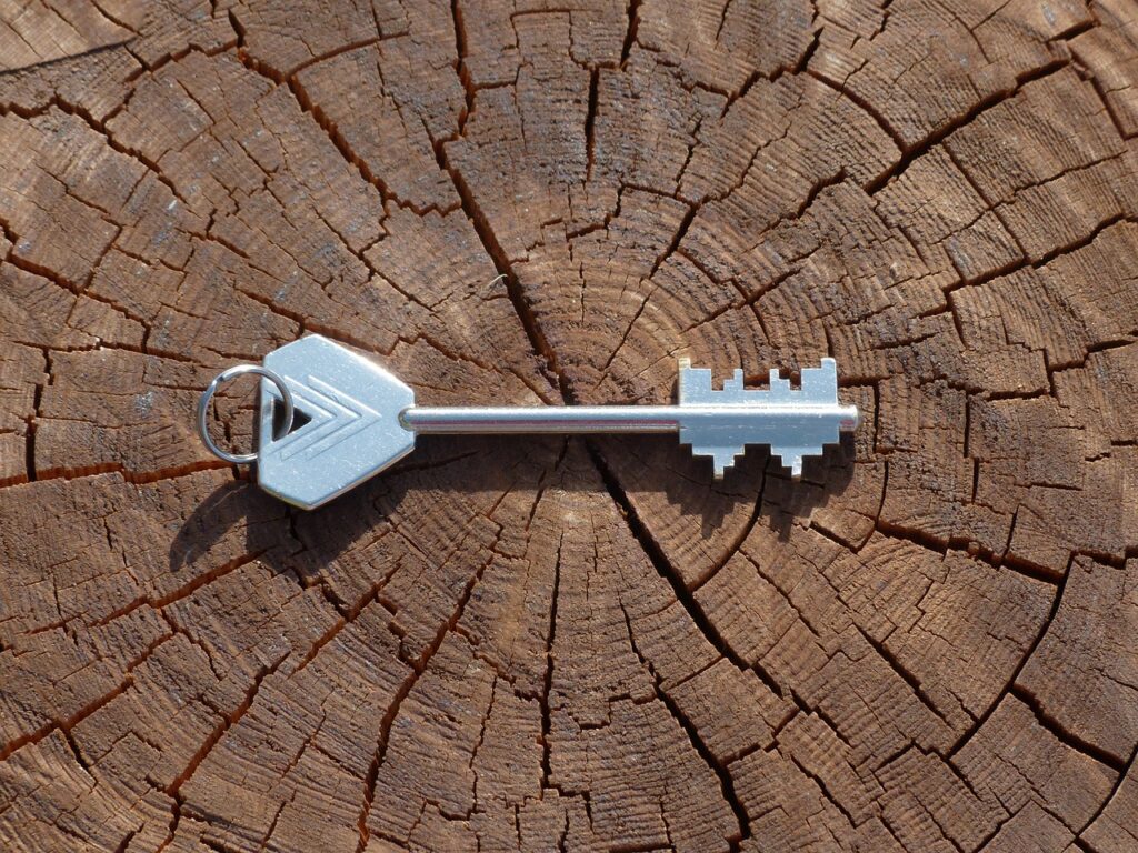 key, safe key, door key-182918.jpg